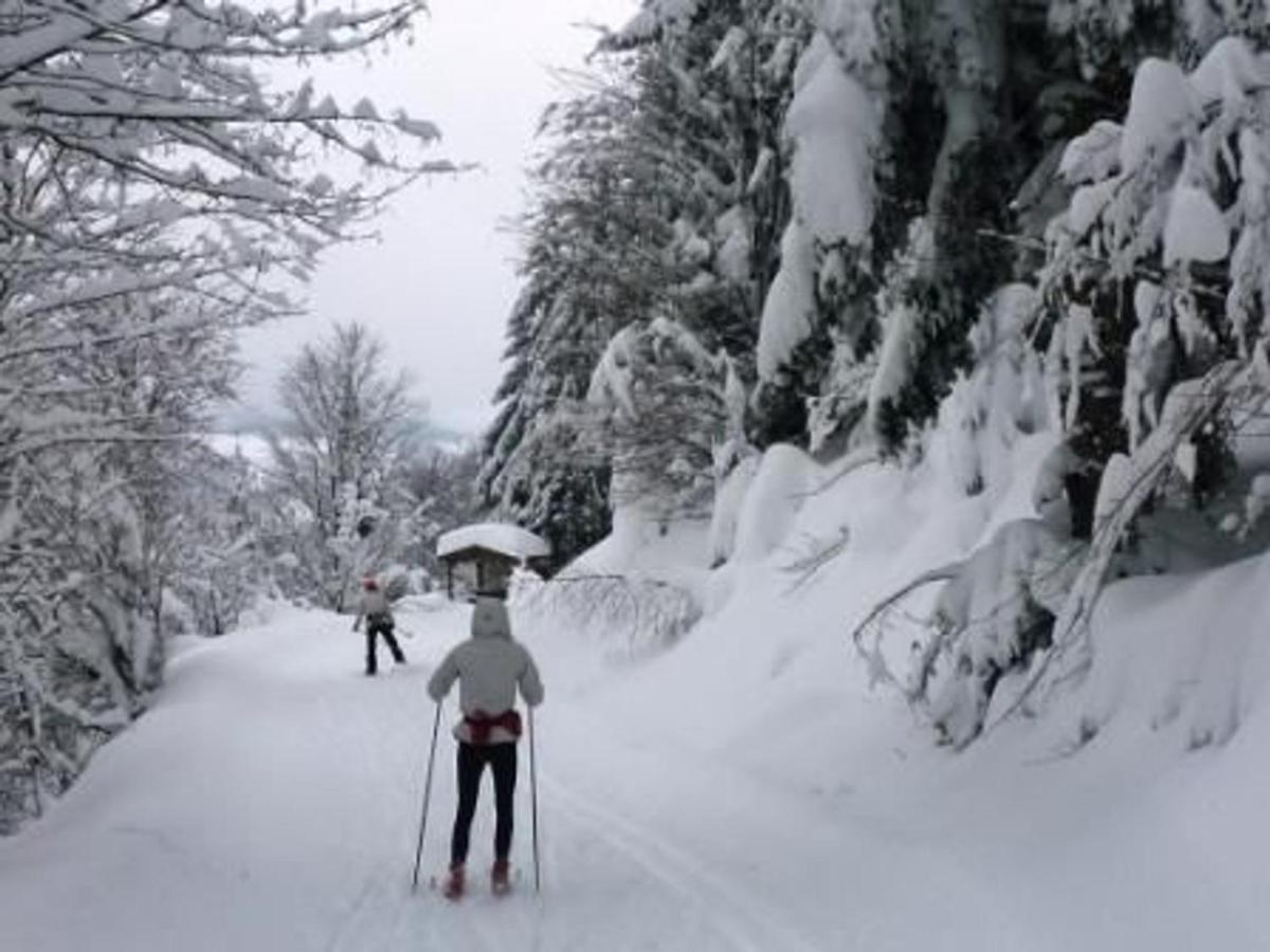 Gite Chaleureux A La Bresse Avec Terrasse, Barbecue Et Proche Des Pistes De Ski - Fr-1-589-189 Dış mekan fotoğraf