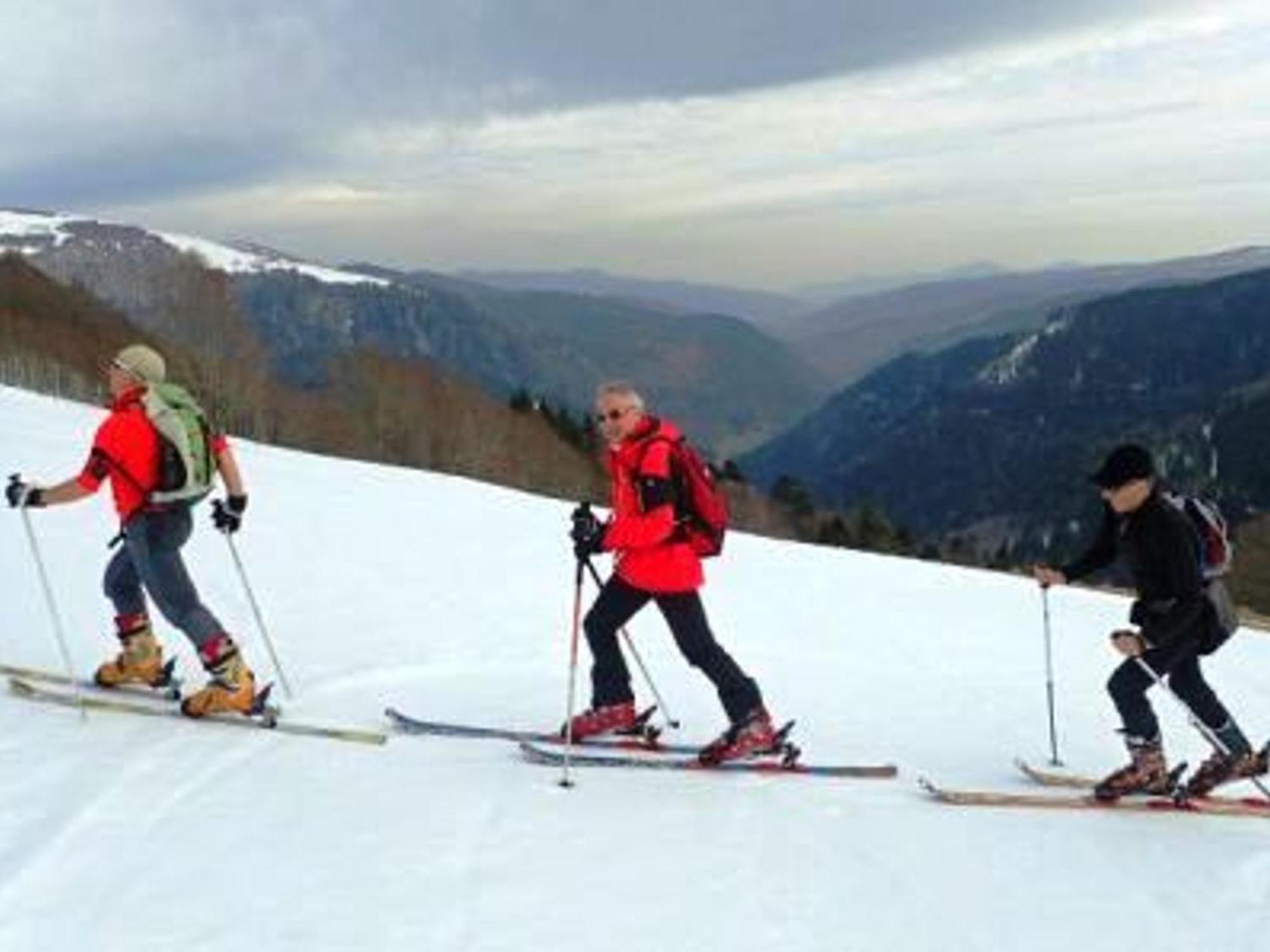 Gite Chaleureux A La Bresse Avec Terrasse, Barbecue Et Proche Des Pistes De Ski - Fr-1-589-189 Dış mekan fotoğraf